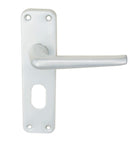 Aluminium Lever On Backplate Lock Oval Profile (Latch & Hinges Included)