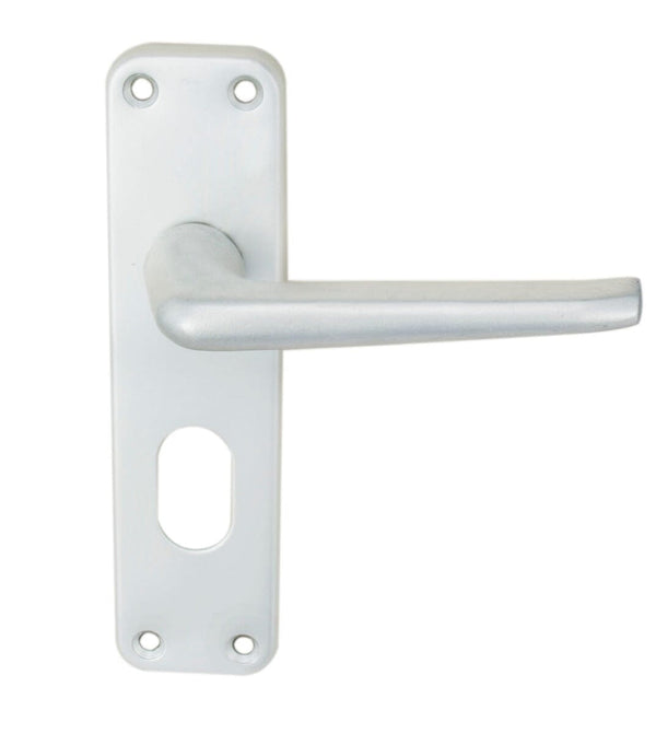 Aluminium Lever On Backplate Lock Oval Profile Lever On Backplate Eurospec Satin Anodised Aluminium 