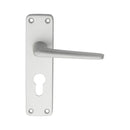 Aluminium Lever on Euro Lock Backplate (Latch & Hinges Included)