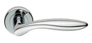 Serozzetta Shark Lever on Rose